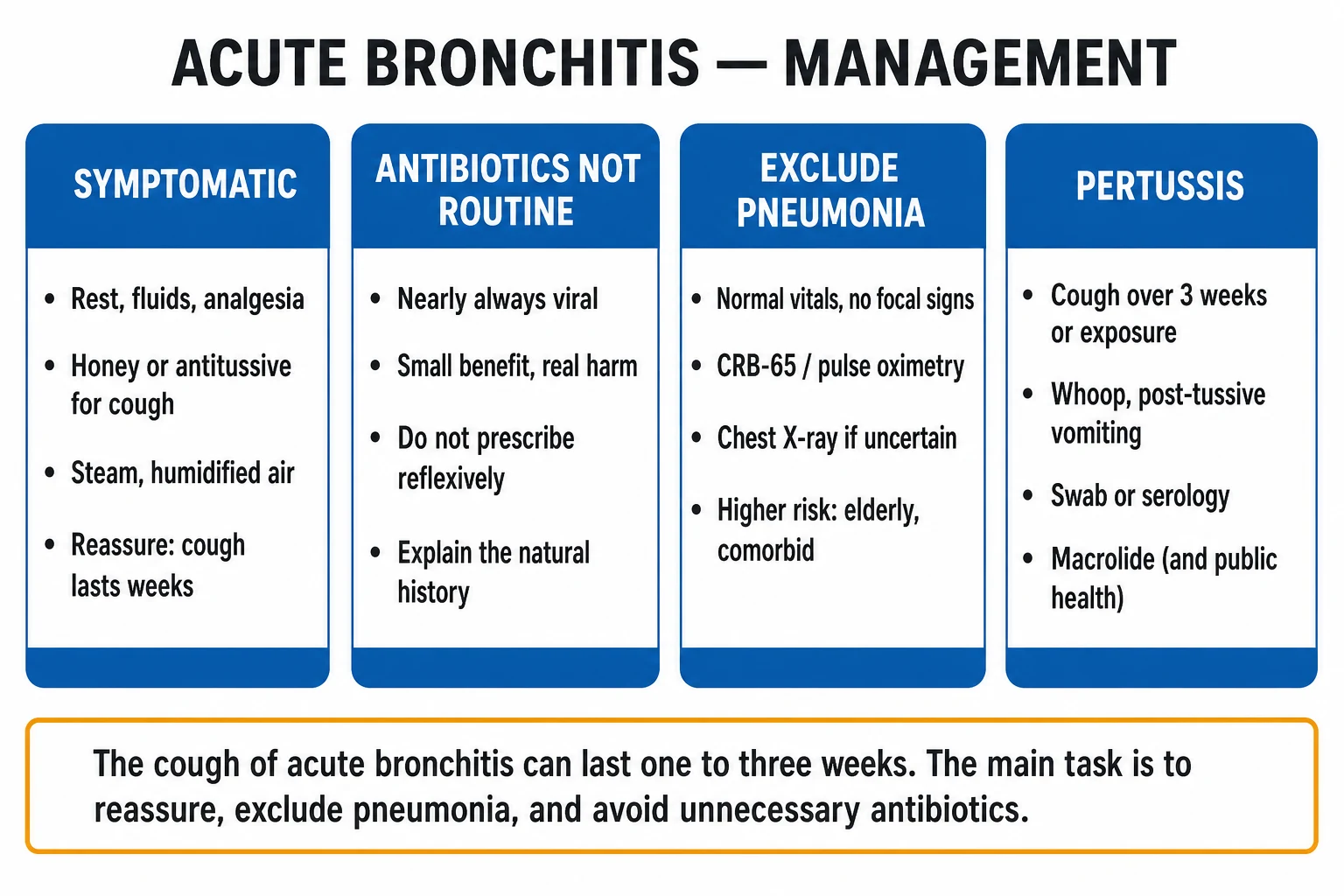 Clean four-pillar management infographic for acute bronchitis: symptomatic relief, no antibiotics, exclude pneumonia, treat pertussis