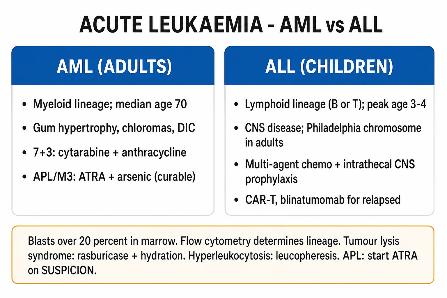 Clean infographic of acute leukaemia classification: AML (FAB M0 to M7 with M3 highlighted, plus WHO 2022 genetic groups and ELN 2022 risk) versus ALL (B-ALL vs T-ALL immunophenotypes with key translocations)