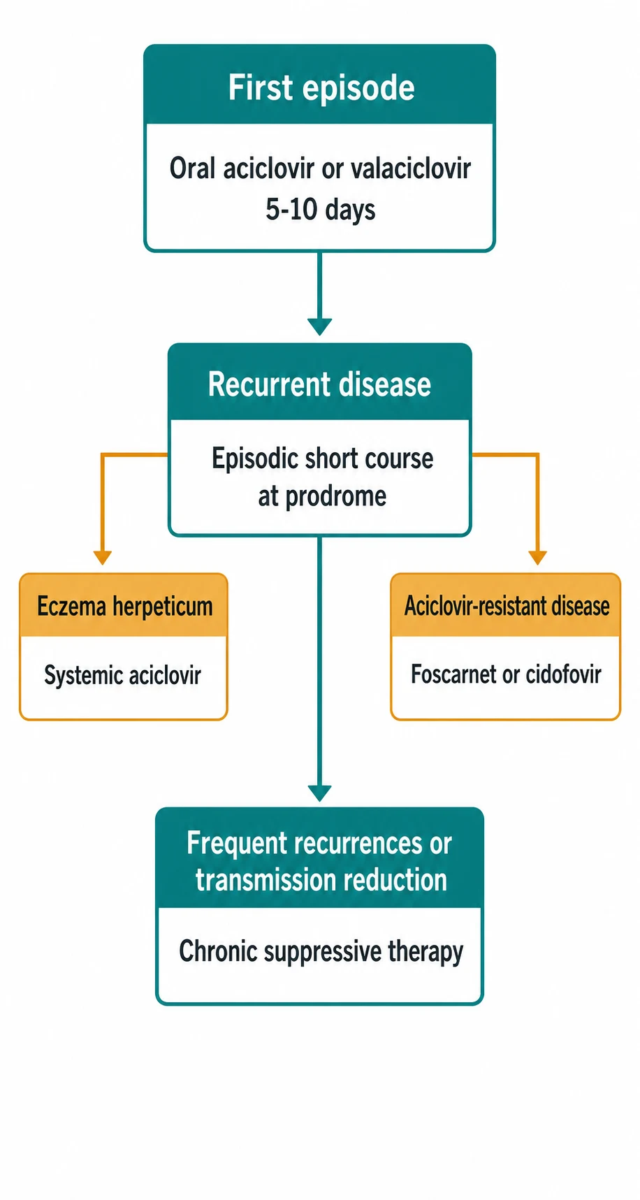 Clean infographic: DSM-5-TR criteria + three presentations + differential + screening