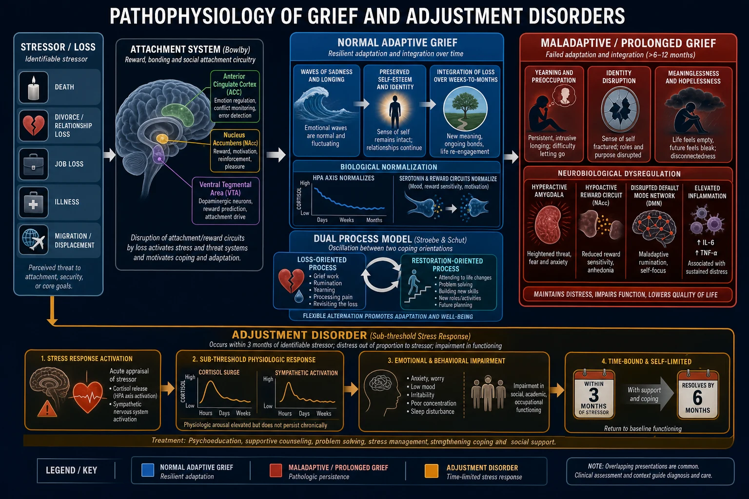 Pathophysiology of grief and adjustment disorders — stressor/loss feeding into attachment system, normal adaptive grief pathway (blue) vs prolonged/maladaptive grief pathway (red) with neurobiological markers, dual process model