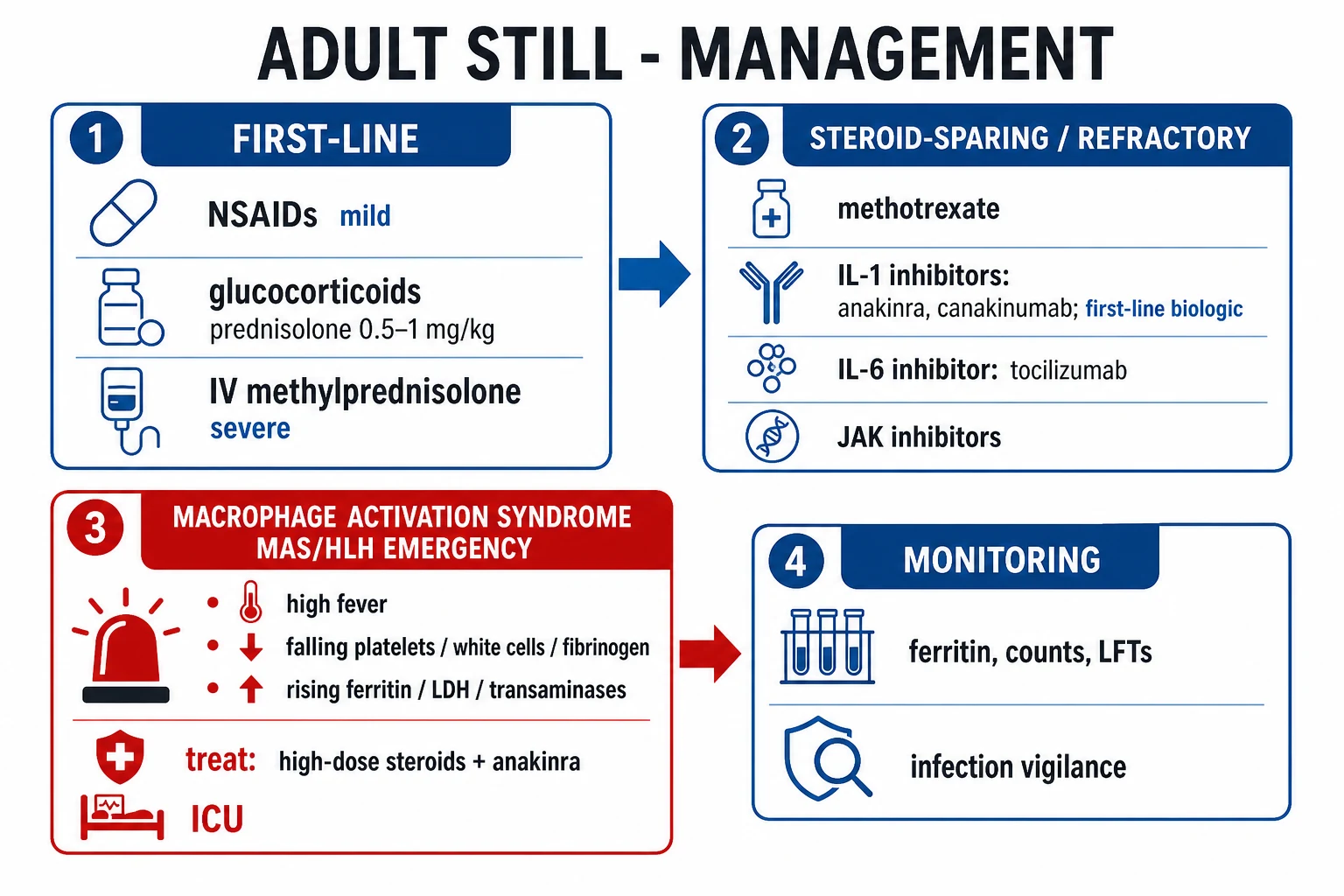 Clean stepwise management infographic for adult-onset Still's disease, with the macrophage activation syndrome emergency pathway