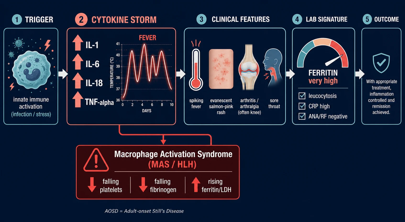 Horizontal left-to-right pathophysiology pathway of adult-onset Still's disease on a deep navy background: trigger through innate cytokine storm (IL-1, IL-6, IL-18) to clinical features and lab signature, with a branch to macrophage activation syndrome
