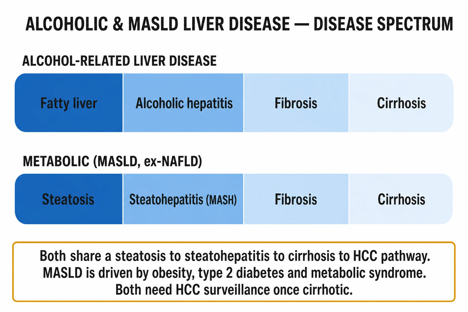 Clean two-column management infographic for alcohol-related and MASLD liver disease