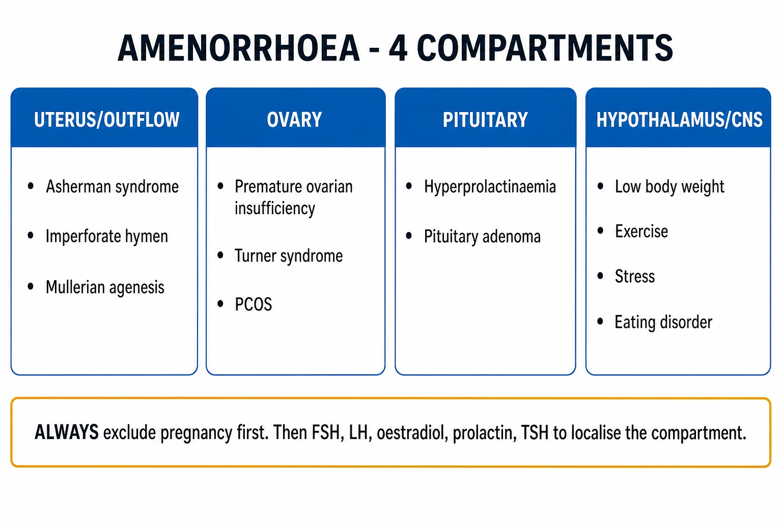 Clean four-panel infographic of amenorrhoea causes grouped by compartment: hypothalamus, pituitary, ovary, uterus/outflow