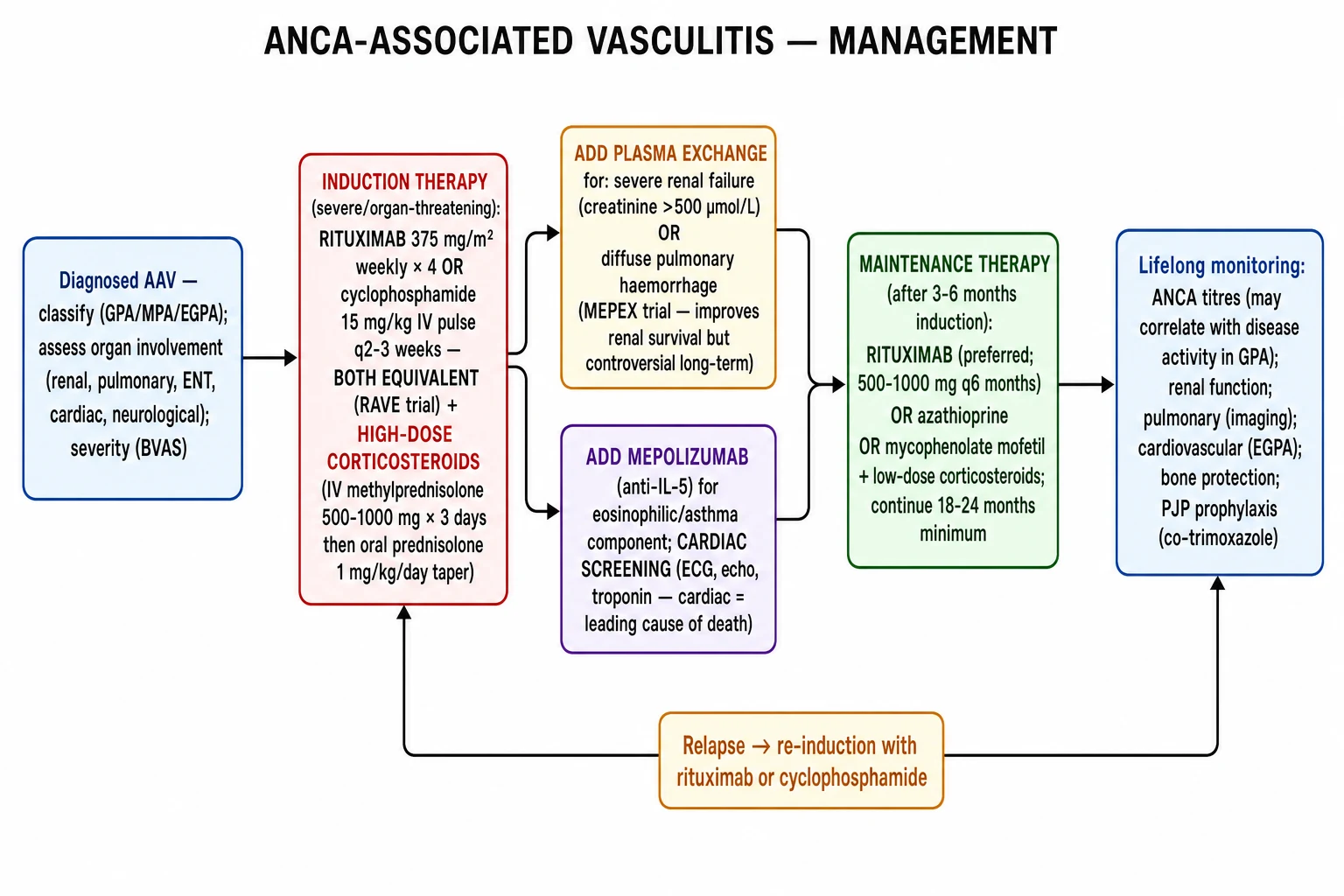 Clean treatment algorithm flowchart: AAV induction, maintenance, relapse, supportive care