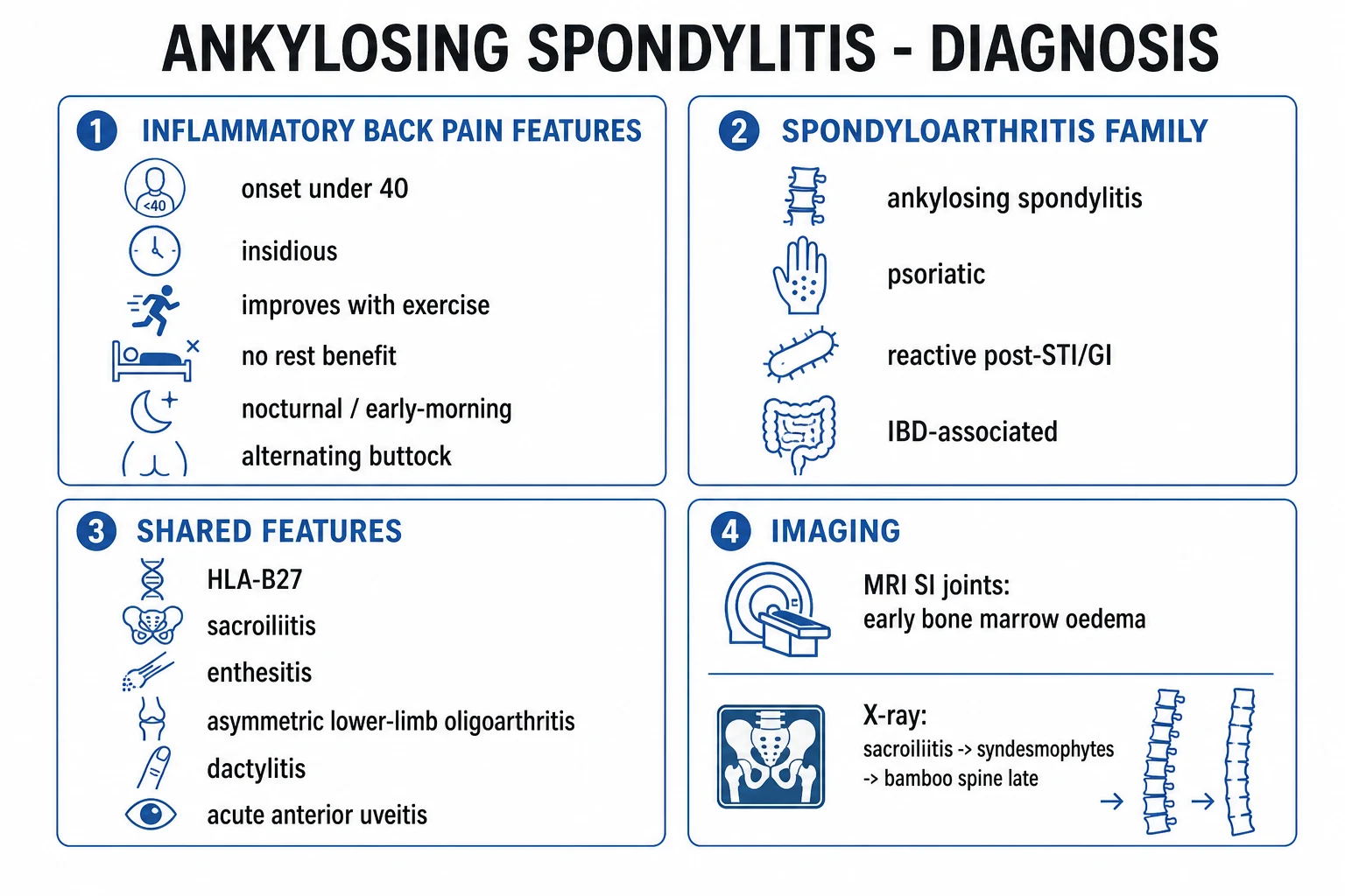 Clean infographic: axial SpA spectrum nr-axSpA vs r-axSpA, modified New York 1984 criteria, ASAS 2009 imaging vs clinical arm, SpA feature list of 11 items