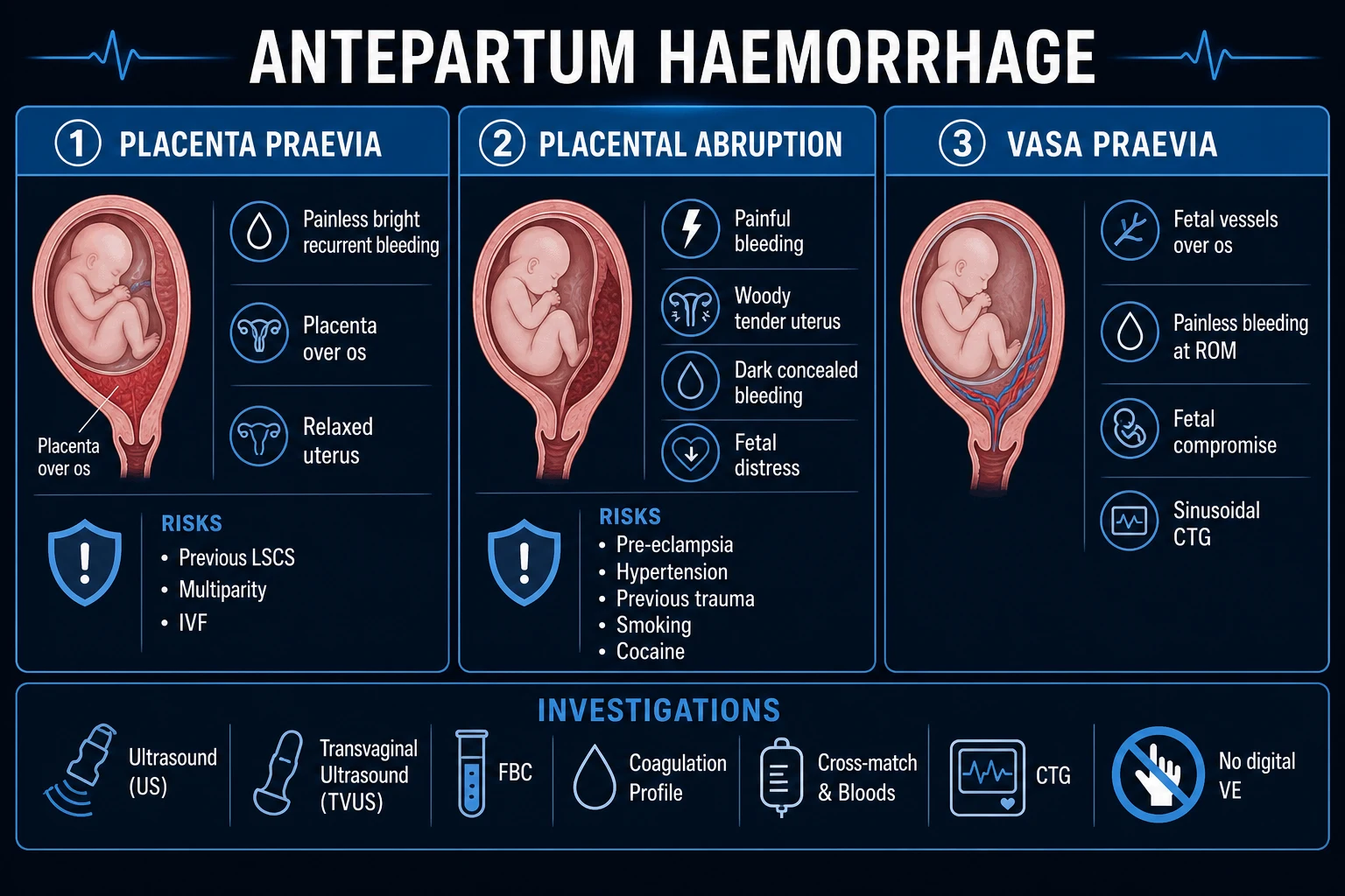 Clean infographic comparing praevia, abruption, vasa praevia, uterine rupture and accreta with risk factors and distinguishing features