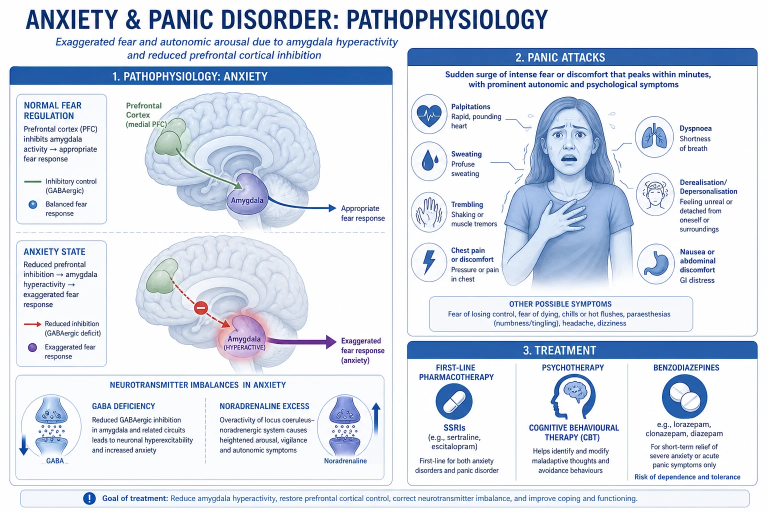 Pathophysiology of panic disorder — amygdala-prefrontal dysregulation, false suffocation alarm, interoceptive conditioning, monoamine and GABA imbalance
