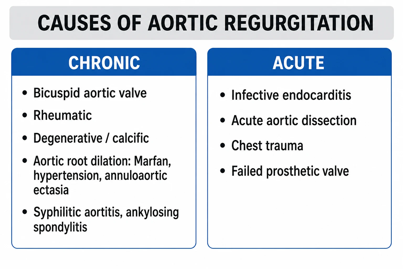 Clean infographic splitting AR causes into leaflet disease vs aortic-root disease, with acute vs chronic colour coding