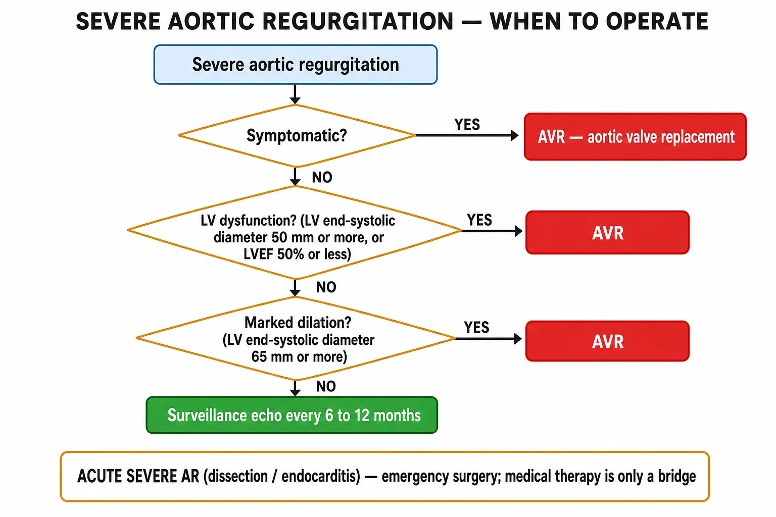 Clean management flowchart: symptomatic severe AR, asymptomatic with a falling EF or LVESD over 50, and surveillance intervals