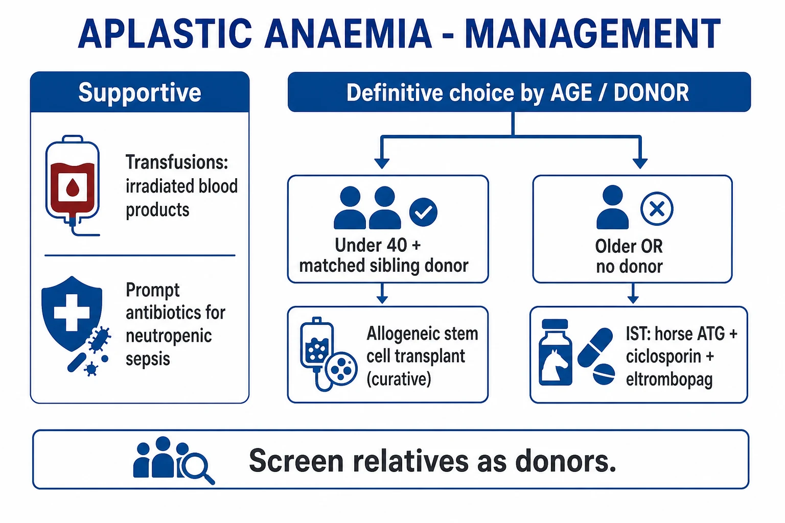 Clean management flowchart: severe AA stratified by age under 40 with sibling donor to HSCT versus older/no donor to horse ATG + ciclosporin +/- eltrombopag, with response assessment and second-line options