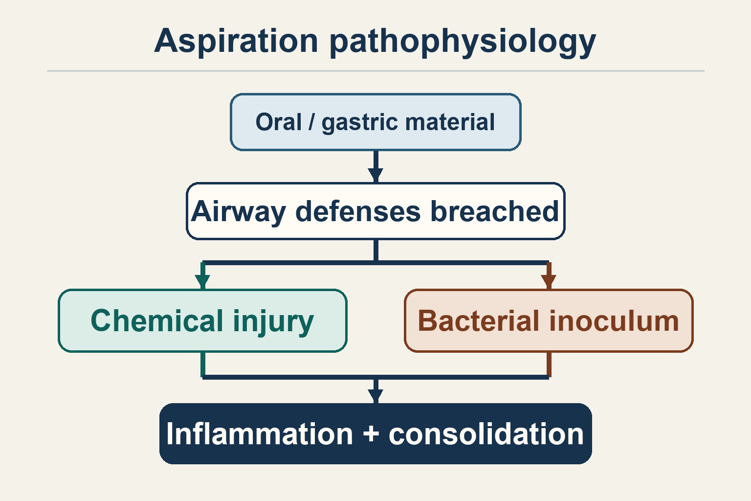 Flow diagram in which oral or gastric material breaches airway defences, branches into chemical injury or bacterial inoculum, and converges on inflammation and consolidation