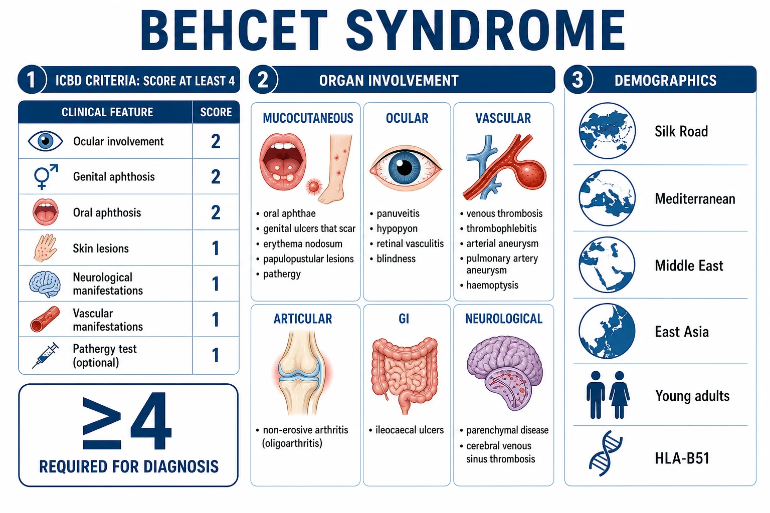 Clean infographic: ICBD criteria scoring + organ involvement + HLA