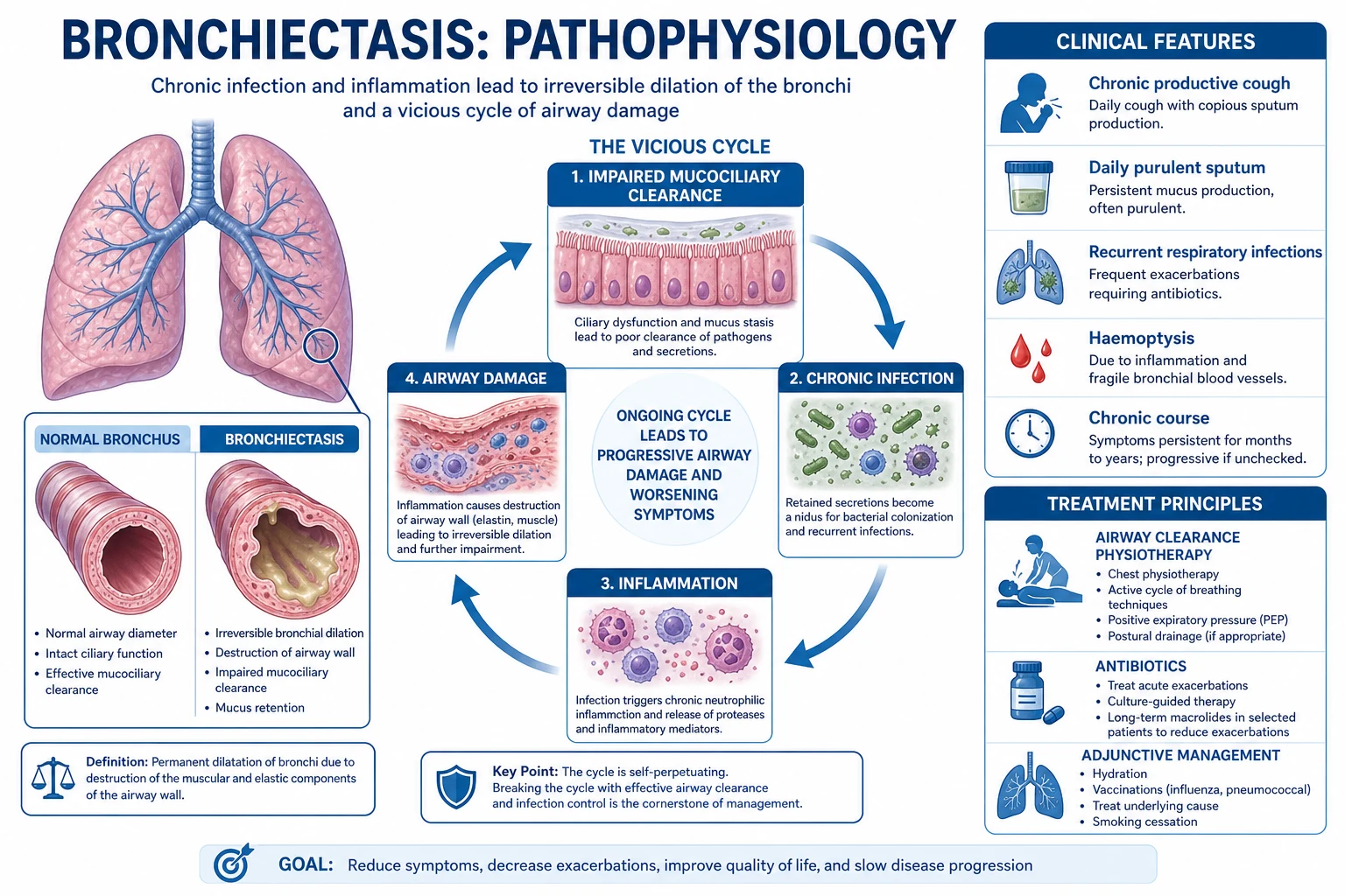 Mechanism infographic: Cole's vicious circle — impaired clearance to retained infected secretions to neutrophil elastase to wall destruction to dilation to more impaired clearance