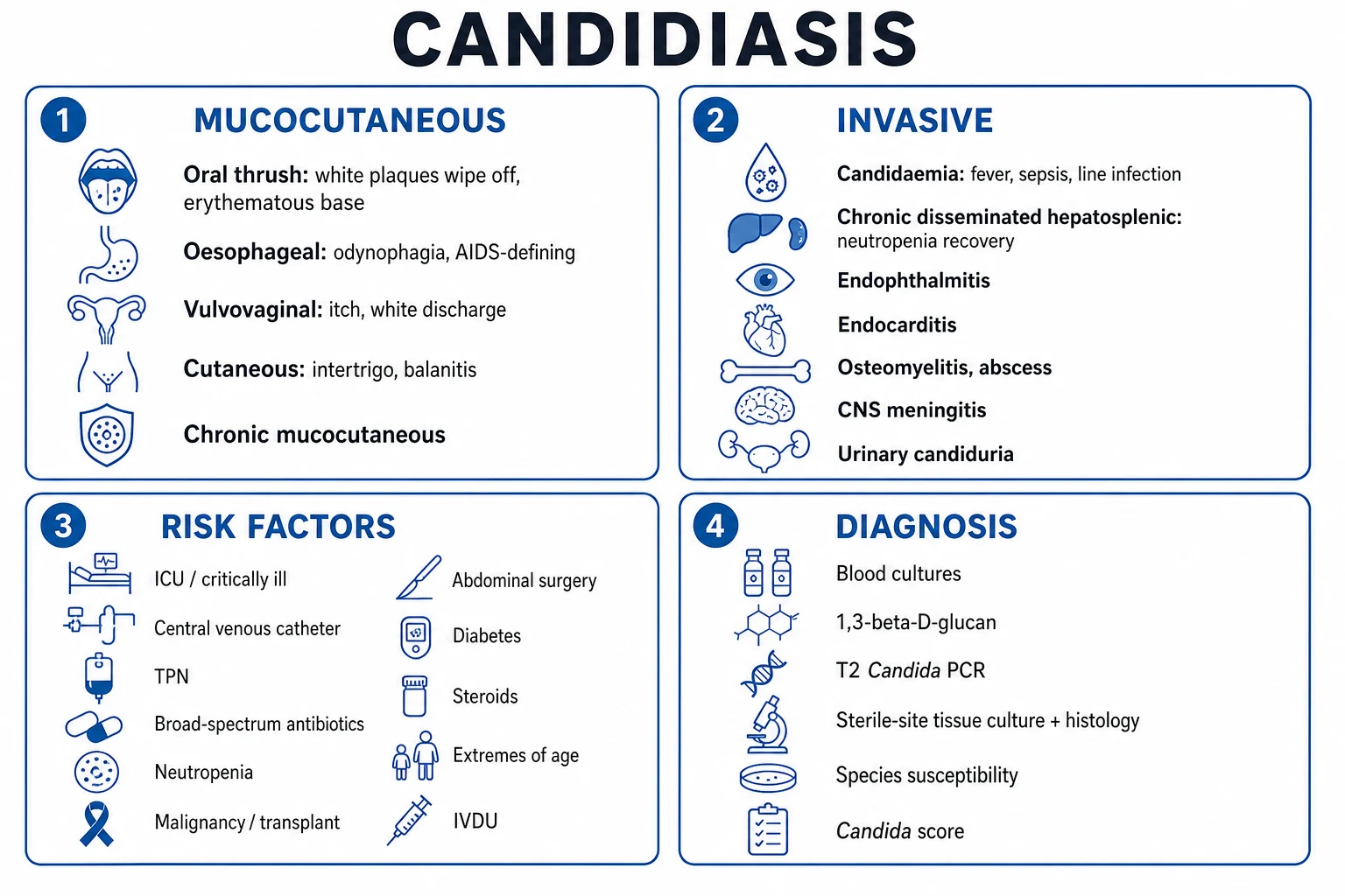 Clean infographic: mucocutaneous vs invasive syndromes, species, and risk factors