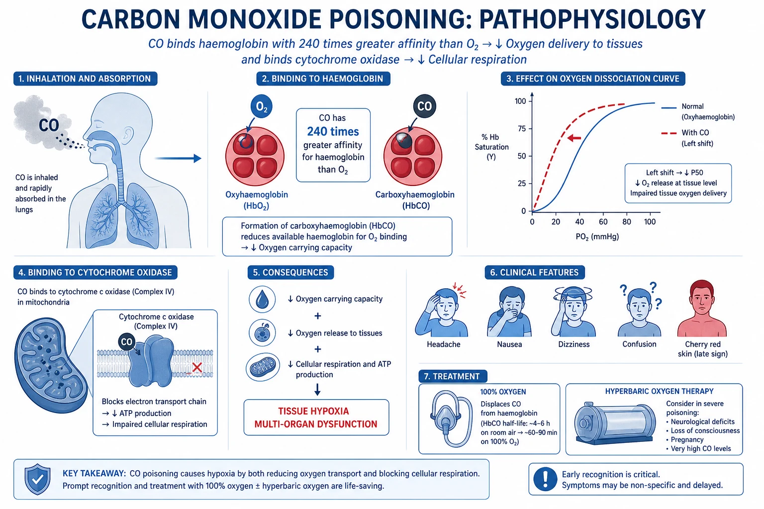 Pathophysiology of carbon monoxide poisoning — panel 1 normal haemoglobin with oxygen binding, panel 2 CO displacing oxygen from haemoglobin forming carboxyhaemoglobin, panel 3 disrupted oxidative metabolism with free-radical formation, panel 4 lipid peroxidation and apoptosis after hypotensive unconsciousness producing delayed neurological sequelae in border zones, globus pallidus and white matter