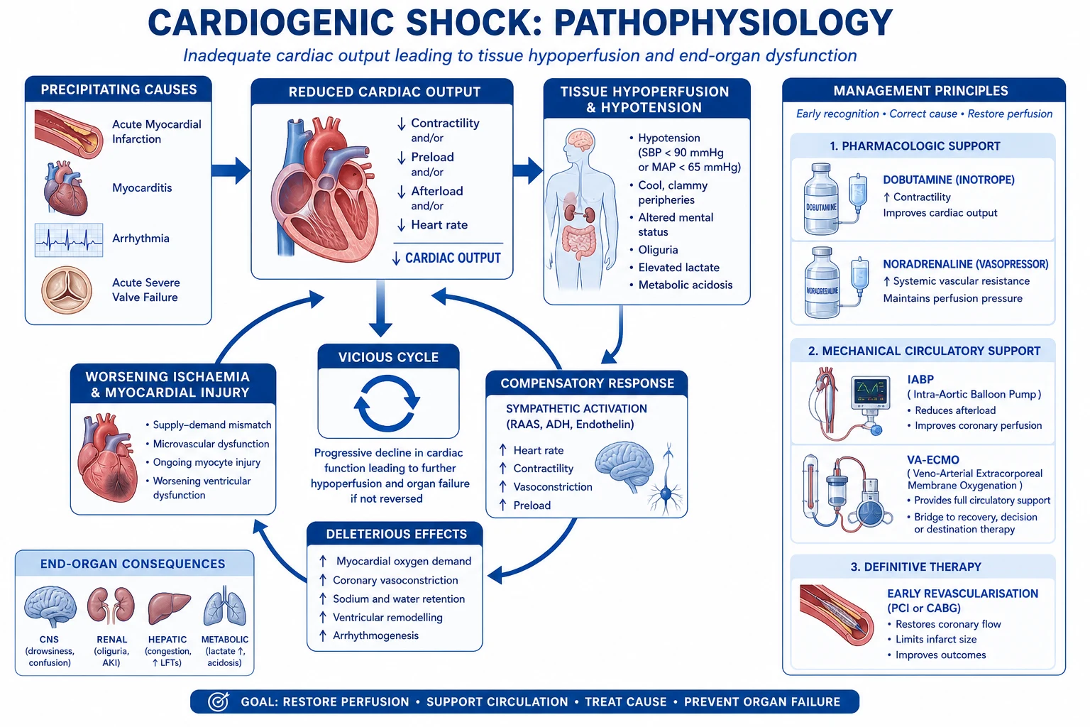 Mechanism infographic showing myocardial injury, falling cardiac output and rising wedge, the coronary hypoperfusion spiral, neurohormonal activation and the SIRS vasoplegic phase, and end-organ failure
