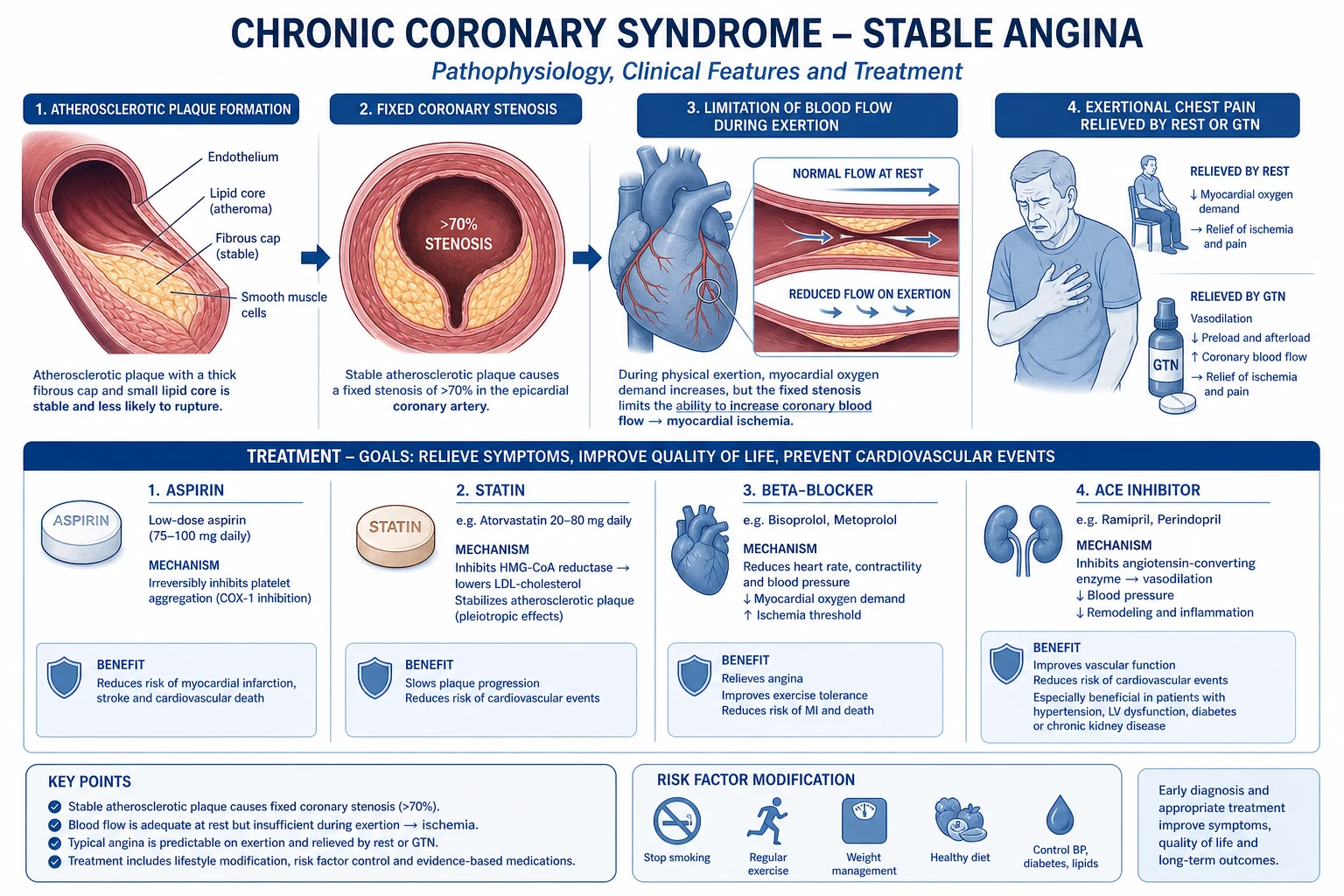 Pathophysiology diagram showing coronary atherosclerosis evolution from fatty streak to fibroatheroma, the ischaemia cascade during exertion (flow heterogeneity, diastolic dysfunction, wall motion abnormality, ECG change, angina), and the mechanisms of stable angina, microvascular angina, and vasospasm