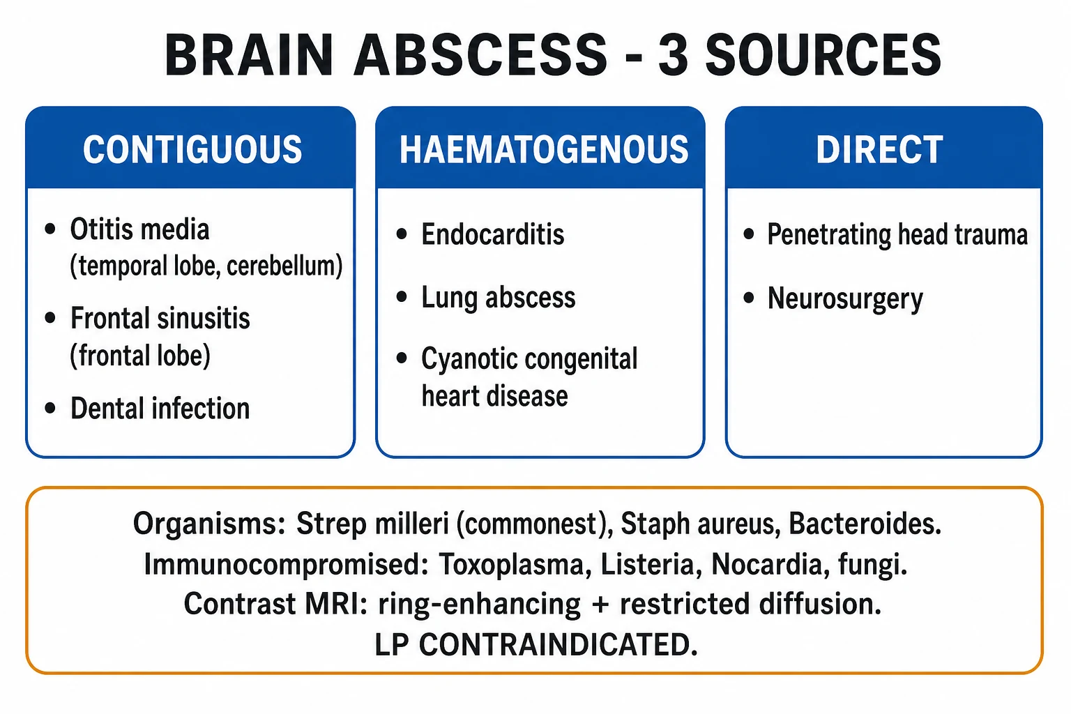 Clean two-column infographic classifying CNS infections by syndrome and organism