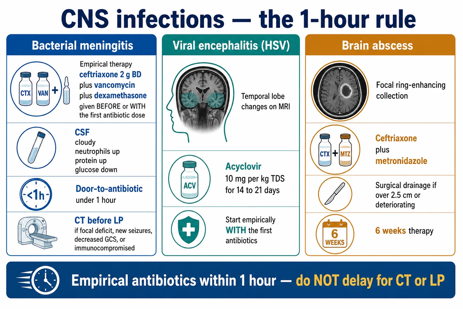 Clean infographic of CSF parameters across bacterial, viral, TB and fungal meningitis