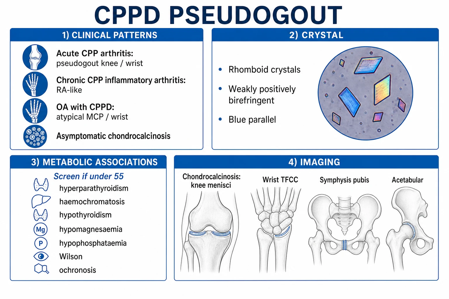 Clean infographic showing CPPD clinical patterns, the rhomboid weakly positive crystal, metabolic associations, and radiographic chondrocalcinosis sites