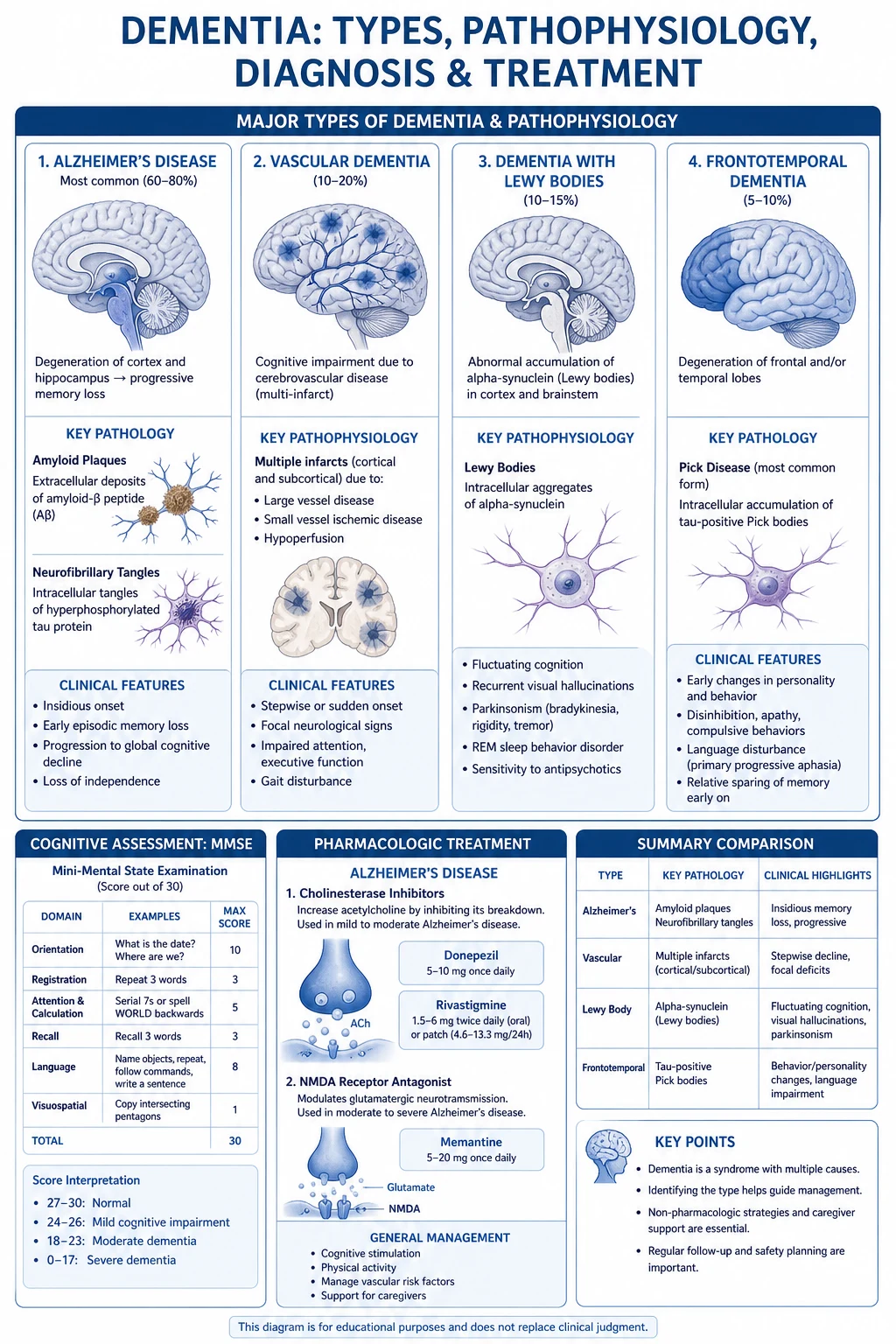 Mechanism cascade: APP cleavage to amyloid-beta plaques, tau hyperphosphorylation to tangles, cholinergic neuron loss, cortical atrophy