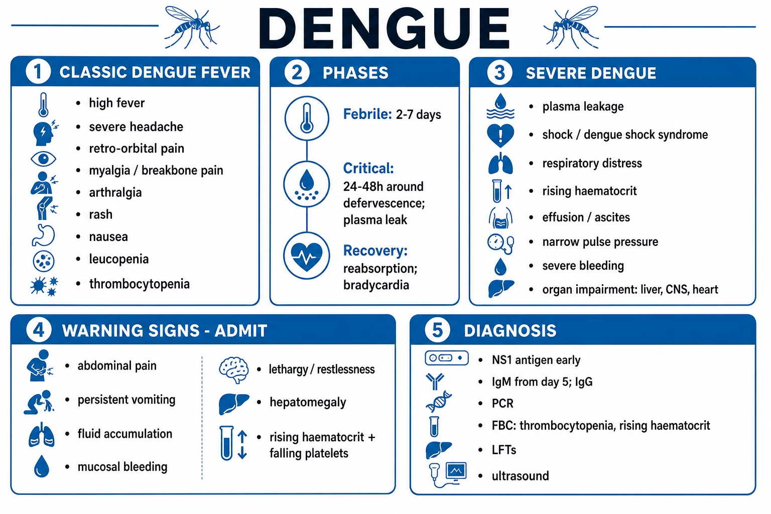 Clean infographic: WHO 1997 (DF / DHF I-IV / DSS) and WHO 2009 (dengue without warning signs / with warning signs / severe dengue) classifications side by side, with the three clinical phases (febrile, critical, recovery) along the bottom