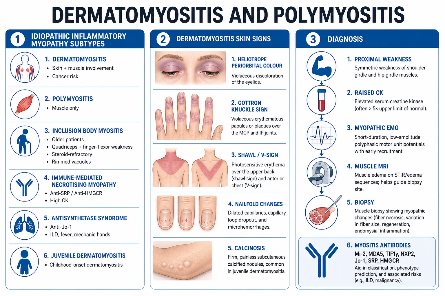 Clean infographic of IIM subtypes with DM skin signs and diagnostic pathway