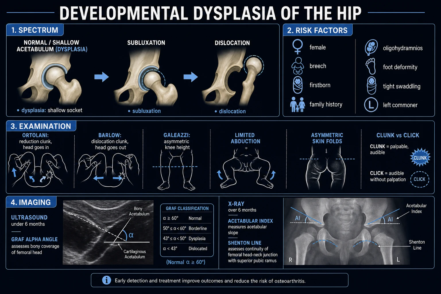 Clean infographic: spectrum of DDH from normal hip through subluxated to dislocated-irreducible, with Graf ultrasound types and the age-based treatment ladder.