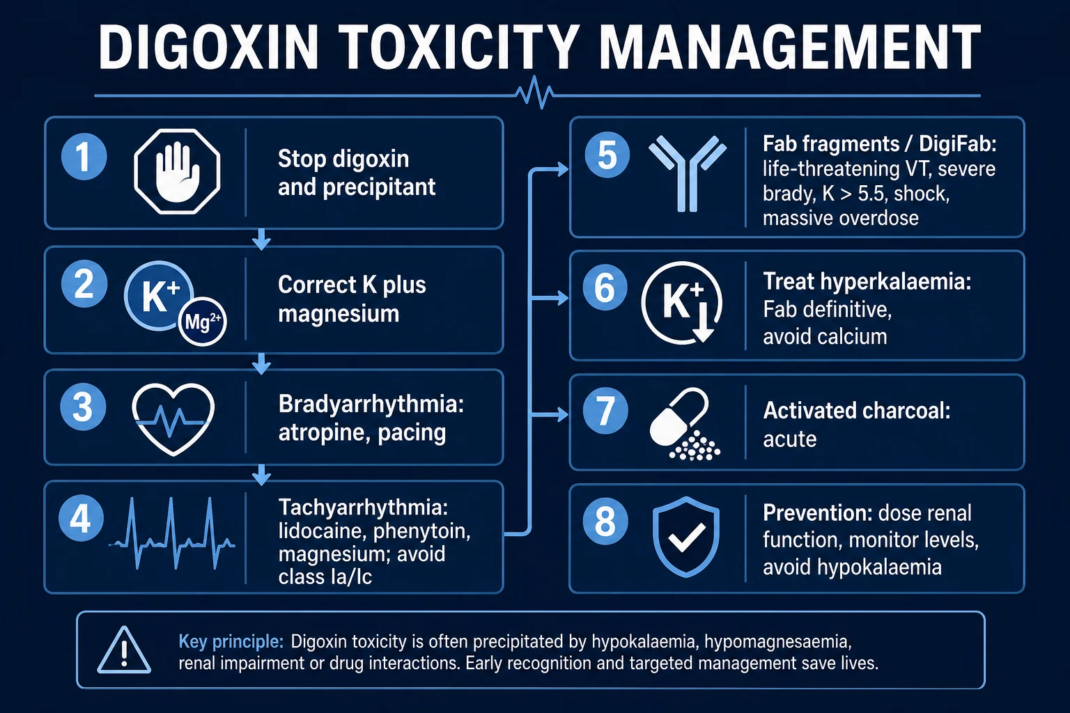 Clean management infographic: stop the drug, correct electrolytes, treat arrhythmias by type, and give Fab fragments for life-threatening features