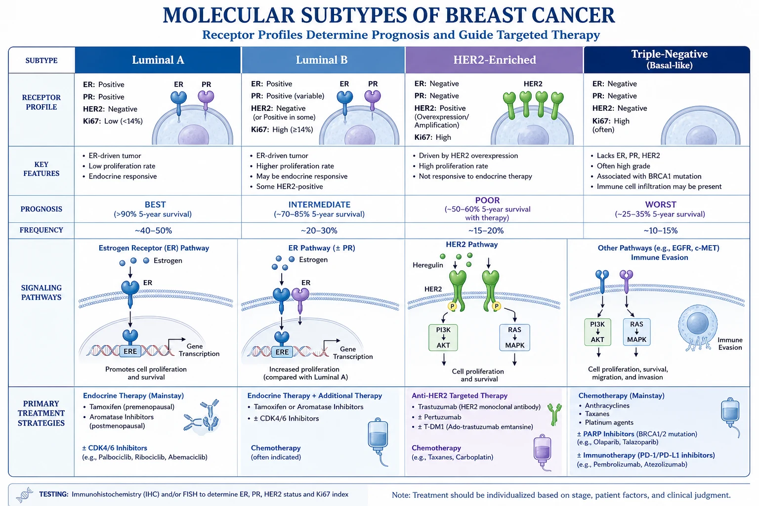 The ductal carcinogenesis cascade and the non-obligate progression of DCIS.