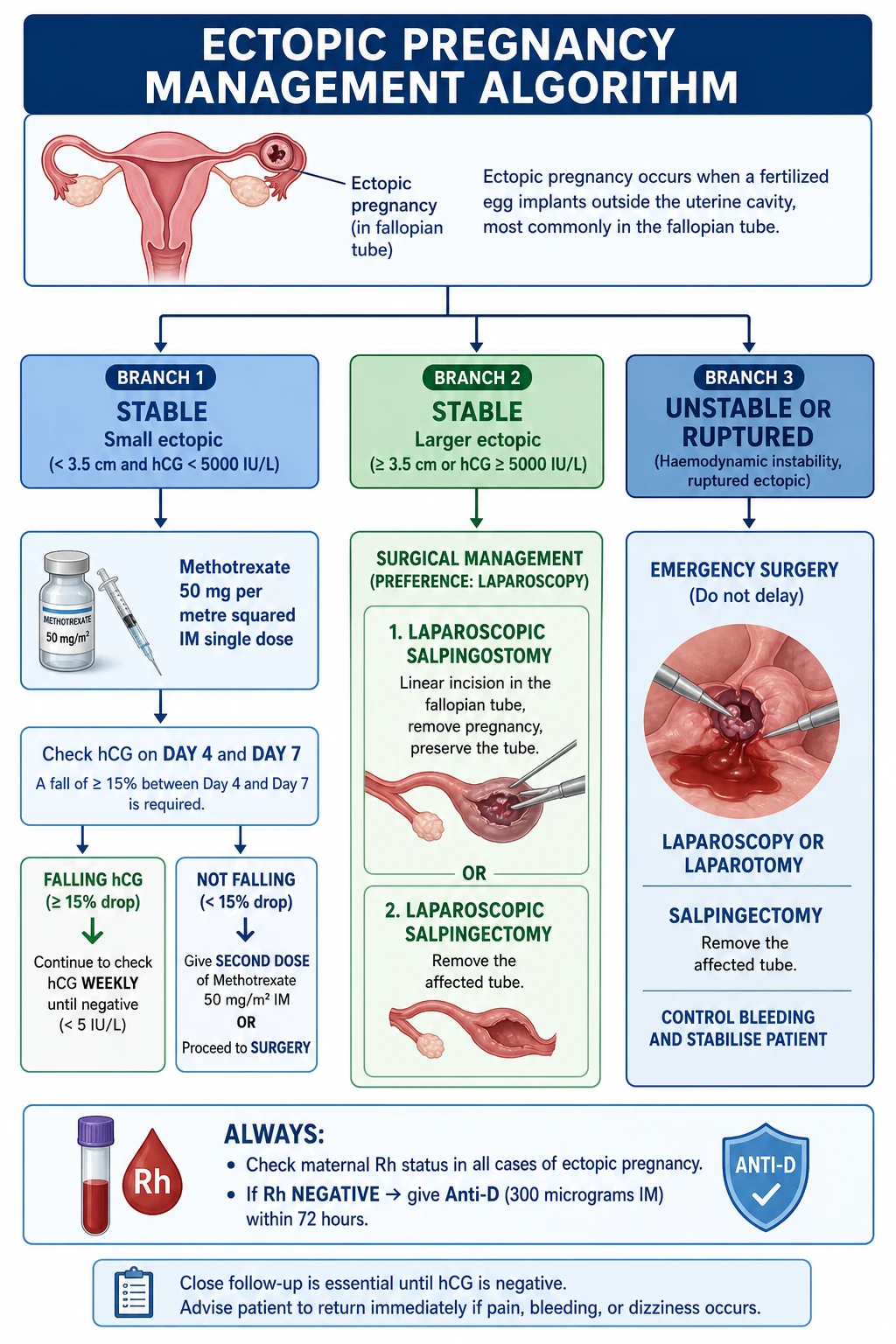 Management algorithm dividing stable unruptured ectopics into methotrexate versus laparoscopic salpingostomy or salpingectomy, and unstable ectopics into emergency laparoscopy or laparotomy with salpingectomy.