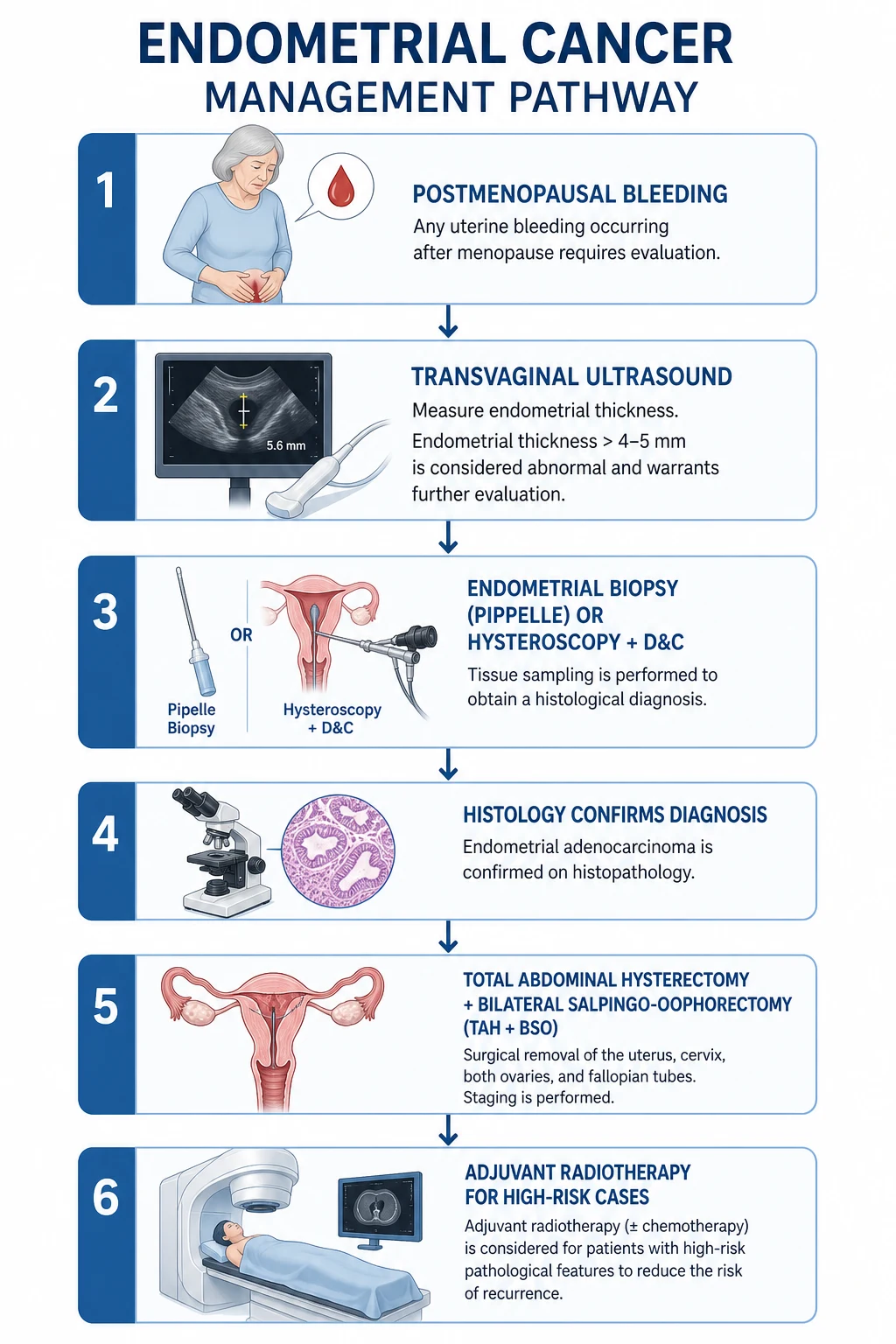 Stepwise management of endometrial cancer by stage and risk group, with adjuvant therapy allocation.