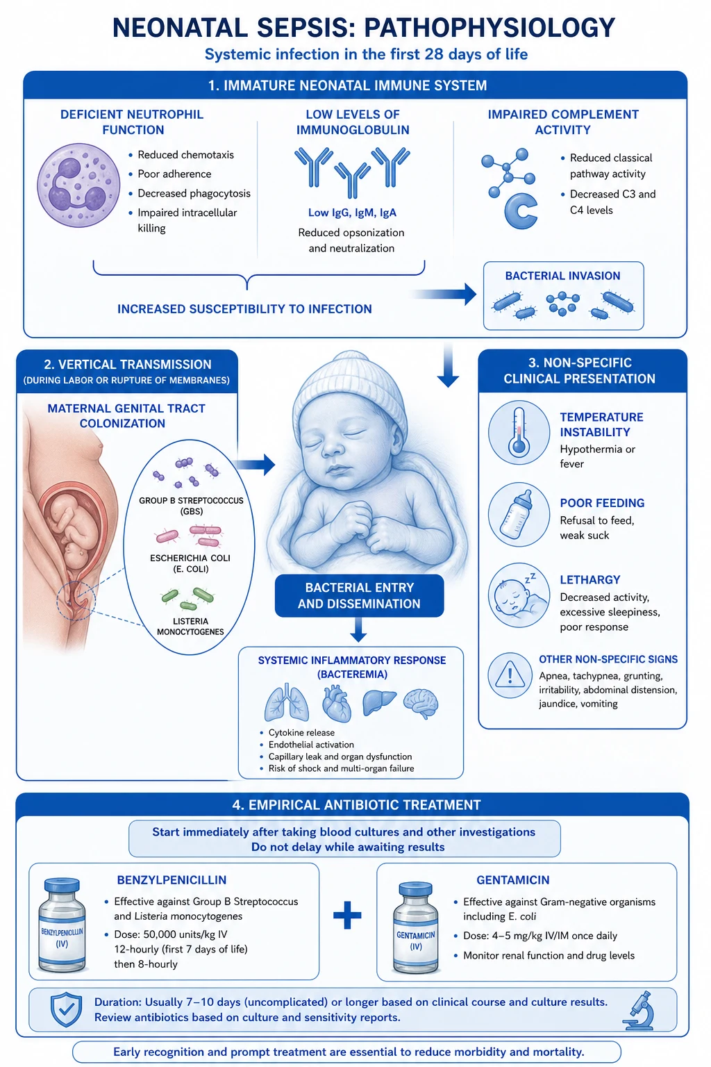 Hyperplasia to carcinoma sequence and the molecular drivers of Type I and Type II endometrial cancer.