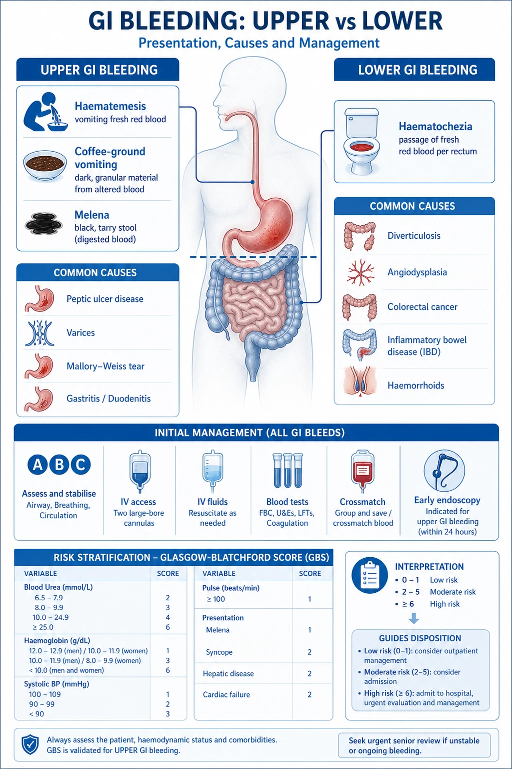 Mechanistic diagram showing five parallel bleeding mechanisms: a peptic ulcer eroding a submucosal artery (posterior duodenal ulcer into gastroduodenal artery), a varix rupturing under raised portal venous pressure, a Mallory-Weiss longitudinal mucosal tear at the gastro-oesophageal junction from retching, an angiodysplastic ectatic submucosal vessel in the caecum, and a diverticular arteria bleeding at the neck of a diverticulum