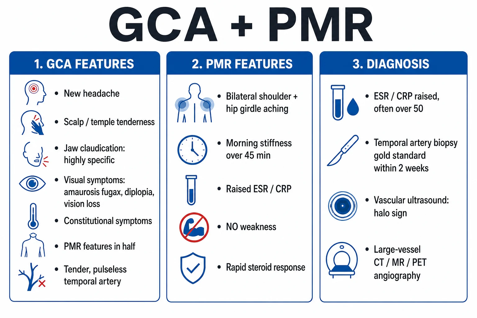 Classification of giant cell arteritis by vessel bed: cranial, large-vessel and PMR overlap