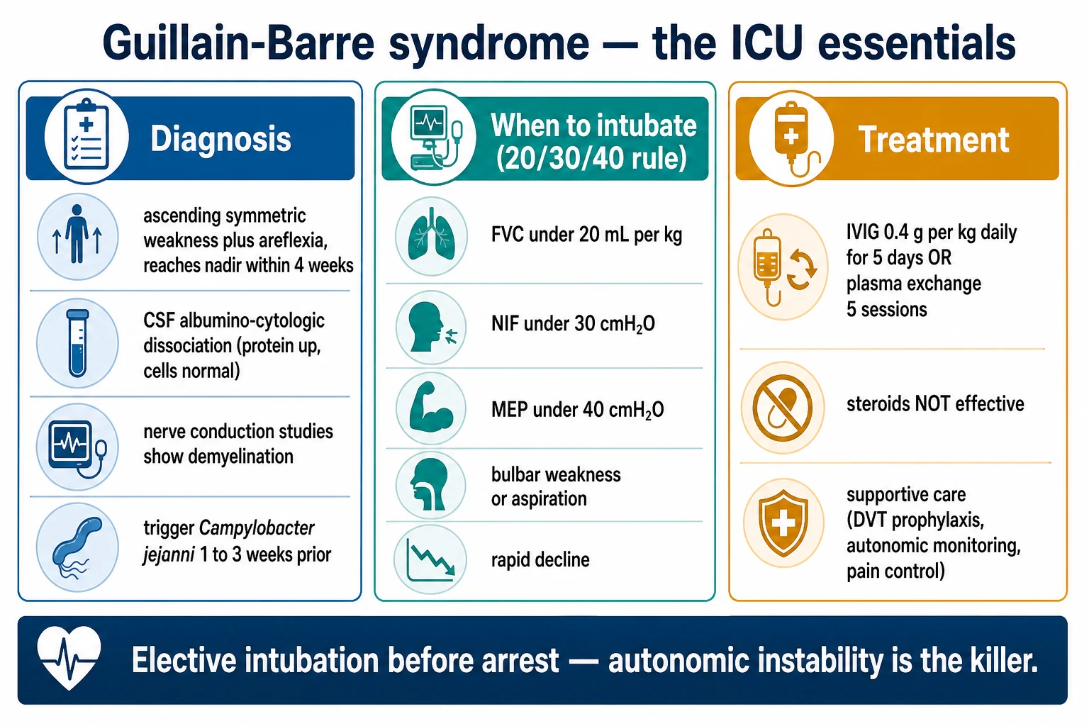 Pathophysiology infographic of Guillain-Barre syndrome showing molecular mimicry between Campylobacter jejuni lipo-oligosaccharide and peripheral nerve gangliosides, with antibody binding, complement activation and macrophage-mediated demyelination or axonal injury