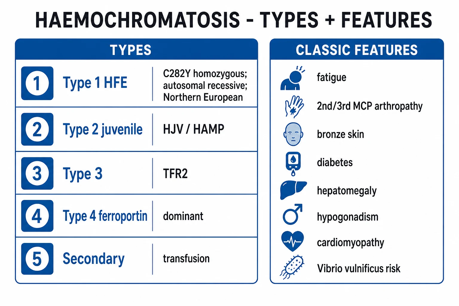Classification infographic of hereditary haemochromatosis types 1–4 with gene, inheritance, age of onset and iron distribution