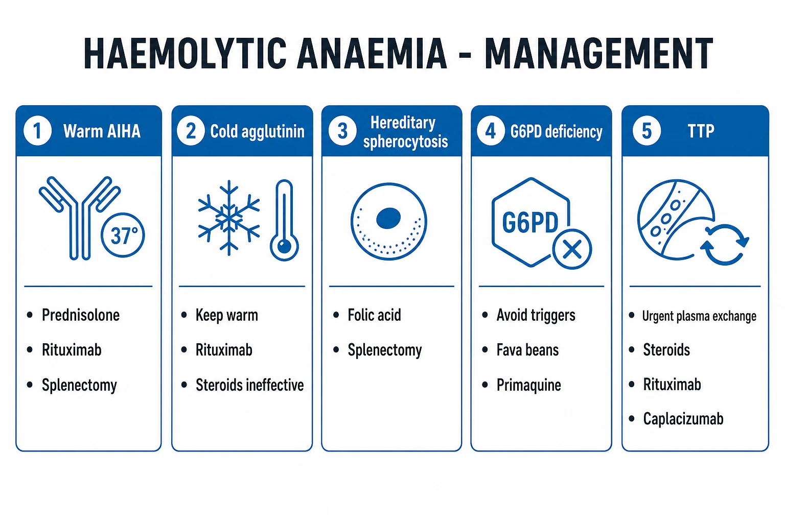 Clean management infographic with four columns: warm AIHA (corticosteroids / rituximab / splenectomy), cold agglutinin (avoid cold / rituximab / complement blockade), hereditary spherocytosis (splenectomy with vaccination), G6PD (avoid triggers / supportive)
