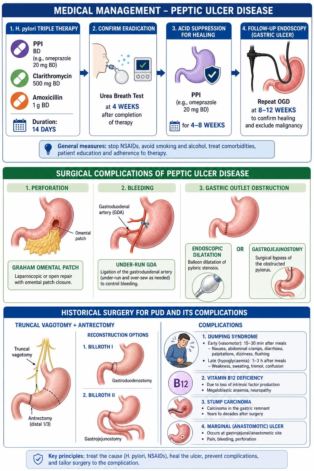 Pathophysiology: connective tissue degeneration, venous engorgement, prolapse. Thrombosed external haemorrhoid formation.