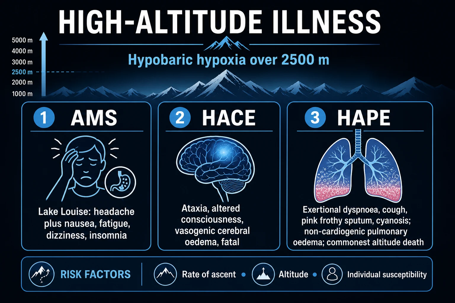Clean infographic: AMS Lake Louise, HACE, HAPE features