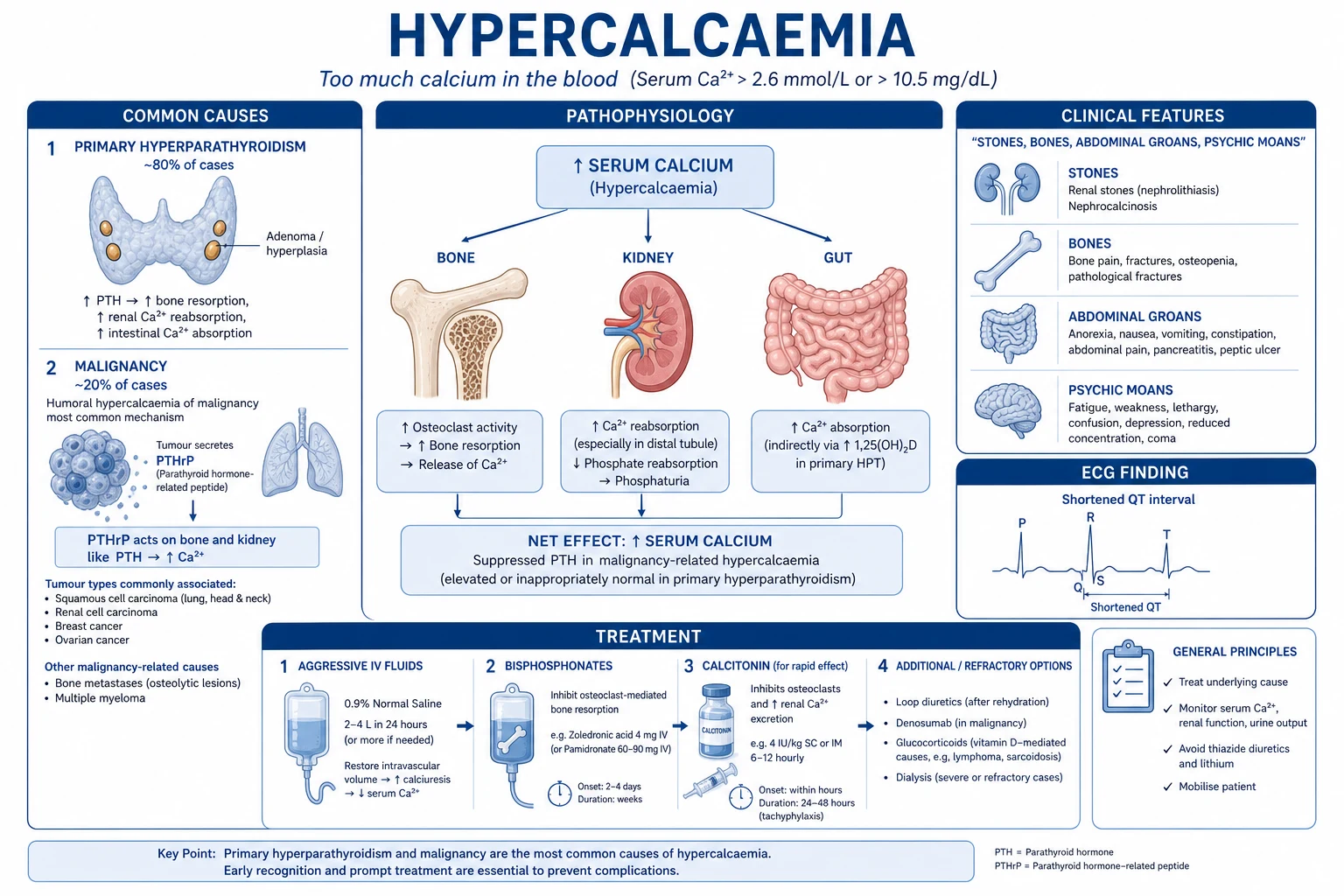 Mechanism infographic: calcium homeostasis axis (PTH, vitamin D, calcitonin) with annotations showing where each cause breaks the loop - adenoma, PTHrP, granulomatous 1-alpha-hydroxylase, thiazide, FHH CaSR mutation