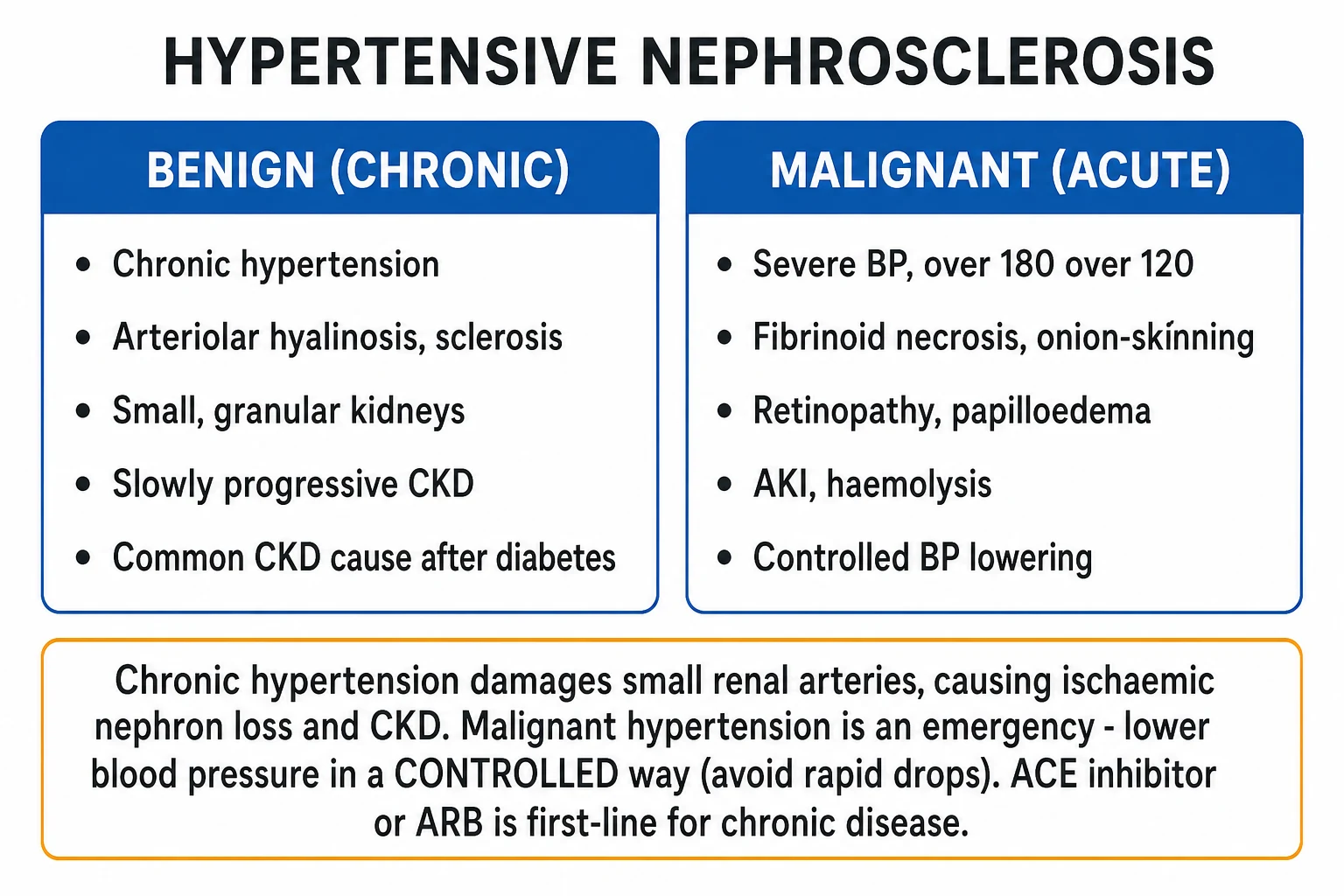 Clean two-column management infographic for hypertensive kidney disease