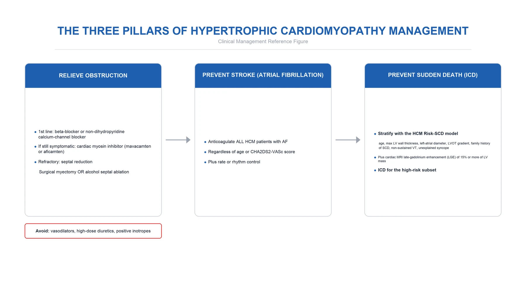 Stepwise management flowchart: lifestyle and screening, beta-blocker first-line, add disopyramide or switch to verapamil/diltiazem, septal reduction for refractory obstruction, and parallel ICD track for high SCD risk