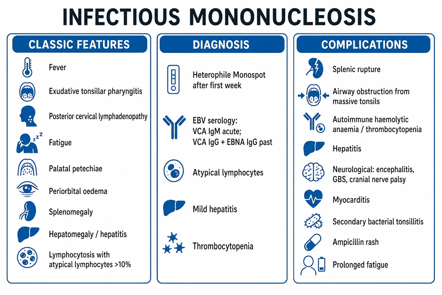 Clean infographic: clinical features of EBV mononucleosis plus diagnostic ladder and complications