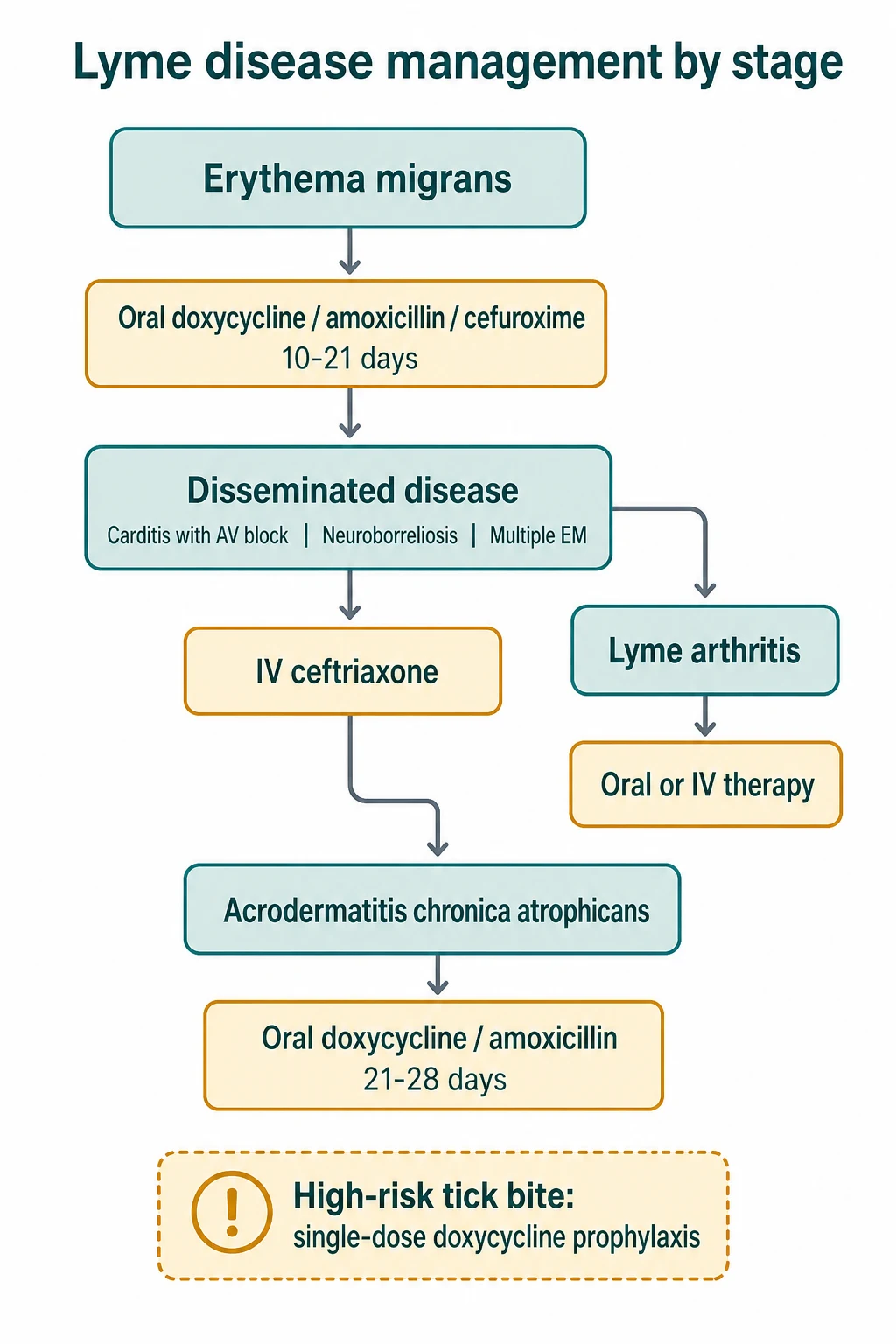 Clean infographic showing DSM-5/ICD-11 severity levels of intellectual disability with IQ bands and population proportions, plus the aetiology groups and the three adaptive-functioning domains