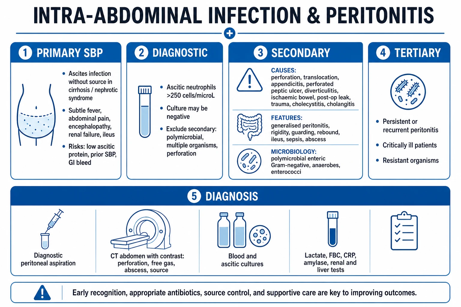 Clean infographic comparing primary (SBP), secondary and tertiary peritonitis with their source, organisms and treatment