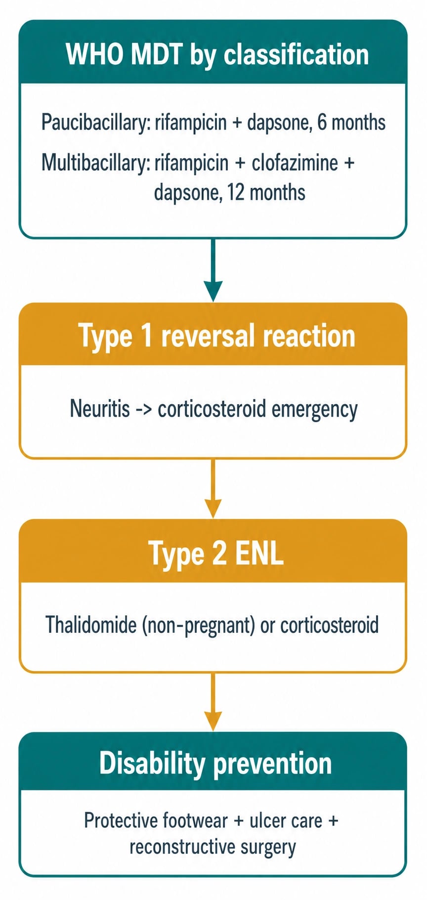Mechanism infographic: M. leprae binds laminin-2 on Schwann cell basal lamina, enters Schwann cell, the host Th1/Th2 balance decides TT vs LL pole, nerve injury cascade from demyelination through granuloma, oedema, compression to fibrosis