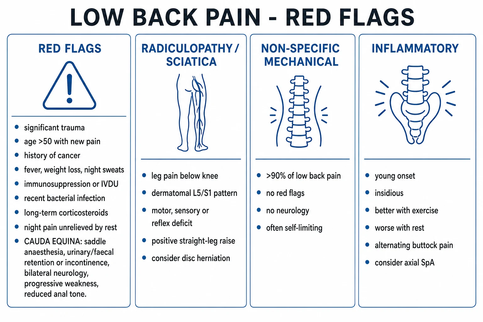 Clean infographic: red flags plus cauda equina plus radiculopathy versus non-specific back pain triage