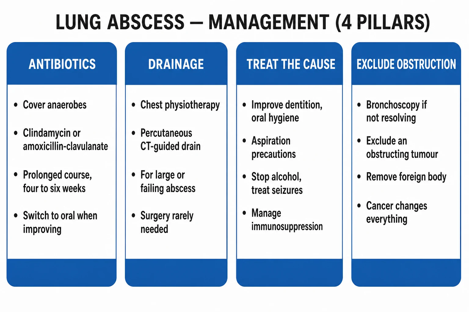 Clean four-pillar infographic of lung abscess management: prolonged anaerobe-covering antibiotics, drainage, treat the cause, exclude obstruction
